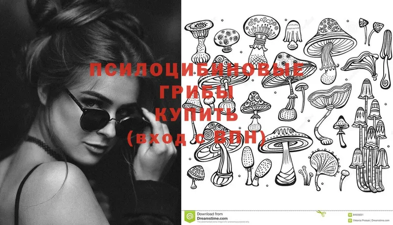 Галлюциногенные грибы Cubensis  Малгобек 